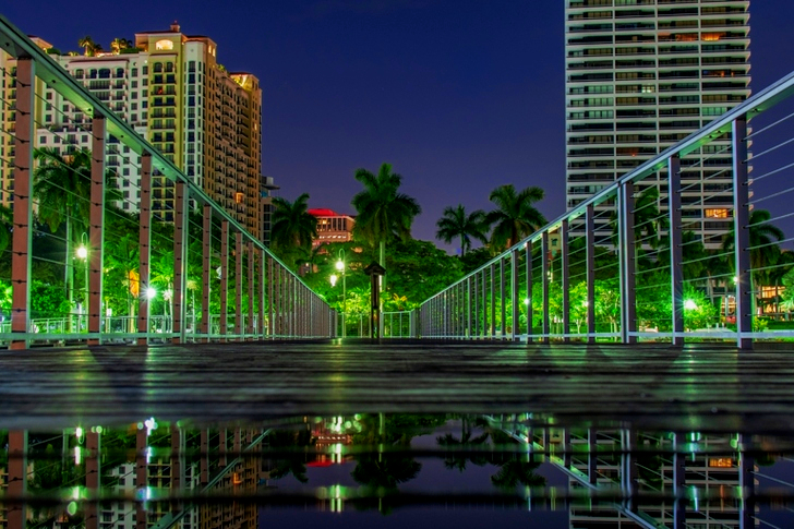 Kokosnøddetræer nær bygningen