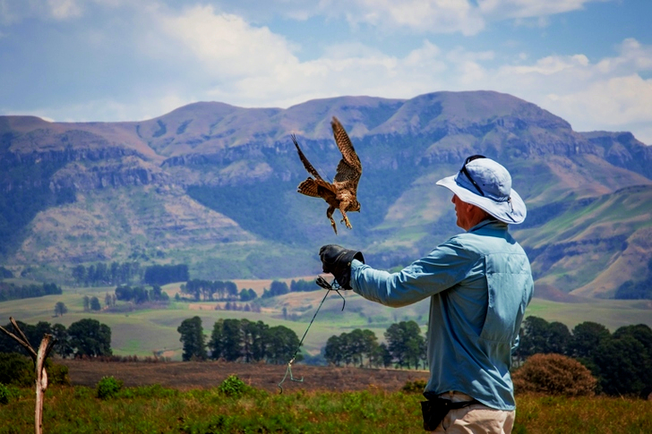Homme debout à côté d'un oiseau en vol