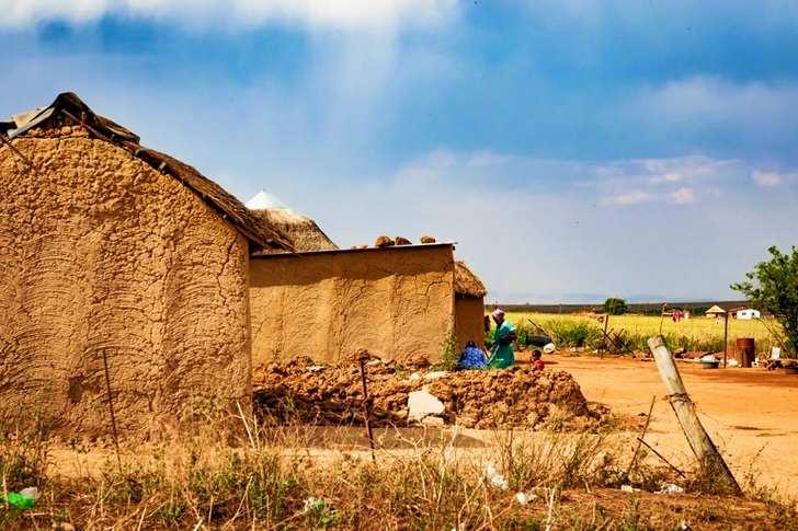Trees Near Soil Hose