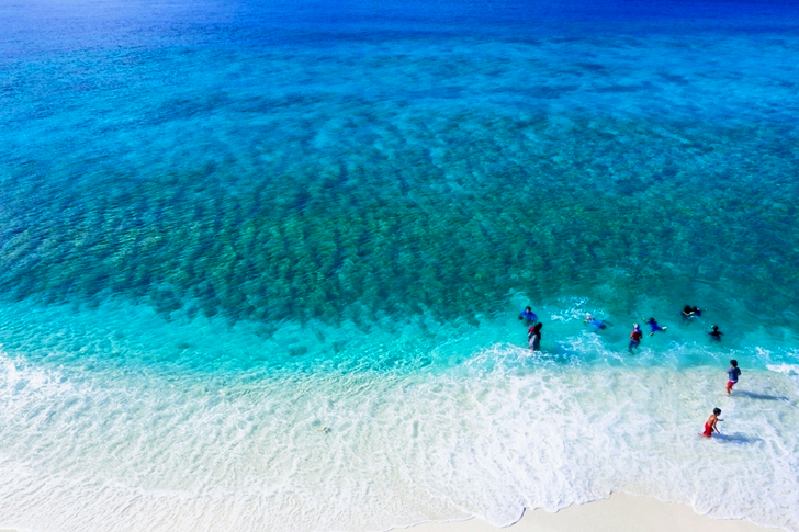 Group of People Swimming on Beach