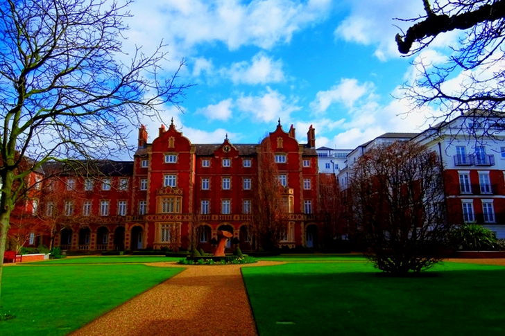 Braunes Betongebäude Nahe Blattlosem Baum Unter Weißem Himmel