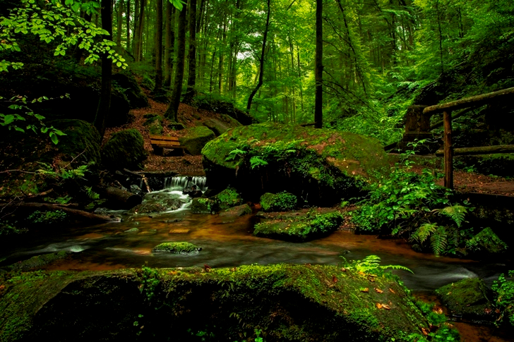 Waterfalls in Forest