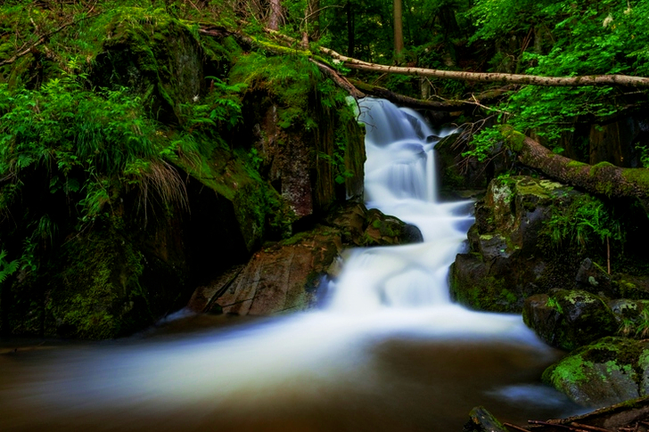 Body of Water Flowing Surrounded by Trees