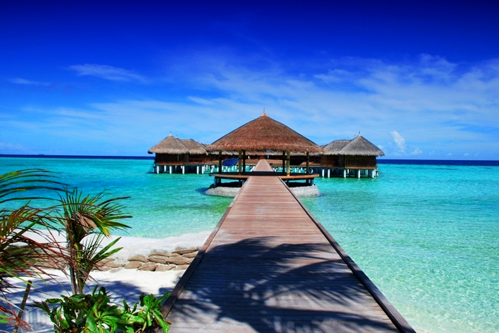 Brown Hut Island Gazebo