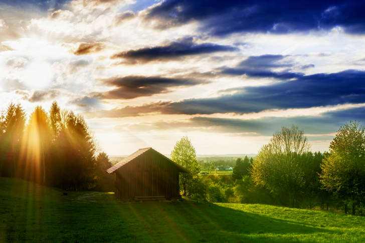 Sunrays Through Trees