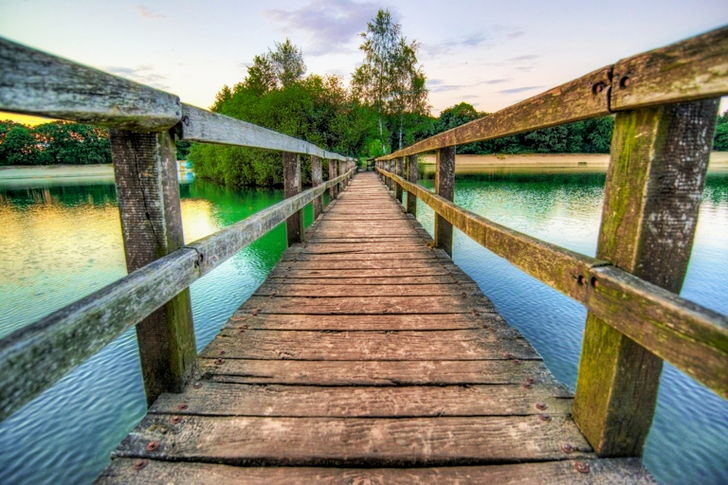 Brown Wooden Bridge Facing Tree