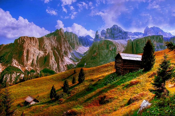 Aerial of House Near Trees