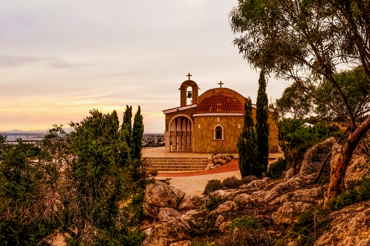 Hnědá katedrála poblíž lesa