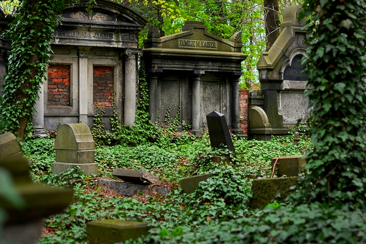 Graveyard on Forest Covered With Grasses