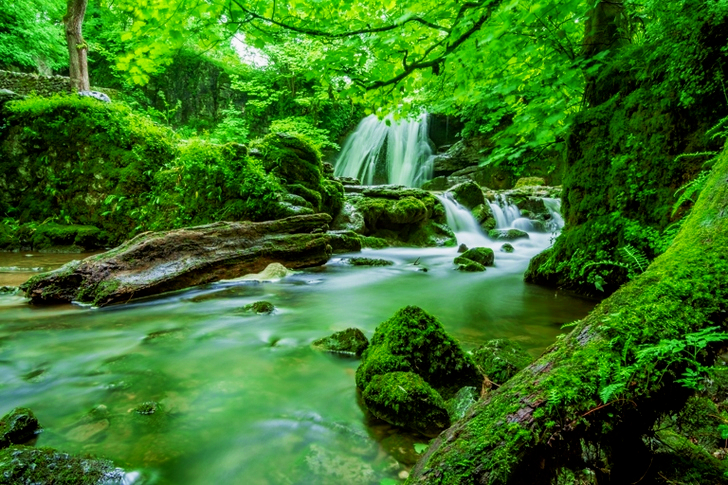 Waterfalls in Forest