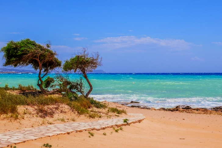 Trees on Shoreline ]