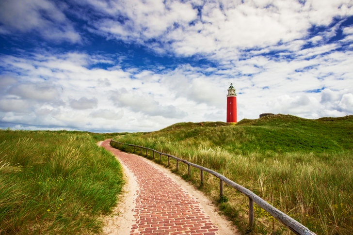 مسار رمادي وبني محاط بحقل عشبي