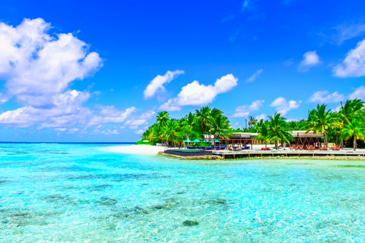 Seashore During Daytime