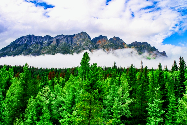 Mountain Covered With Fog Under Cloudy Sky