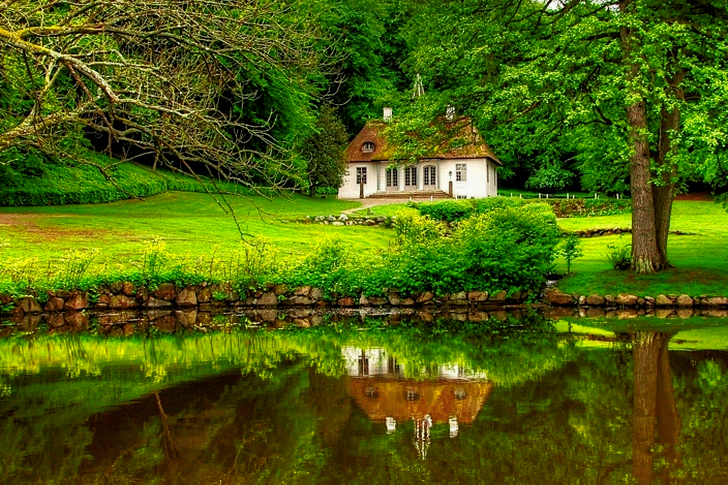 White and Brown House Surrounded by Trees