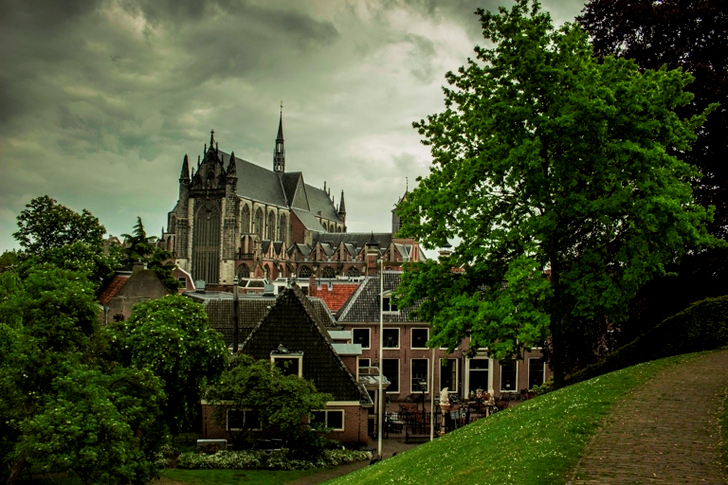 Brown Castle Near Green Trees