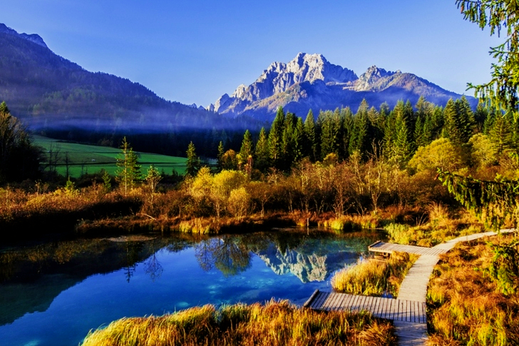 Body of Water Near Forest