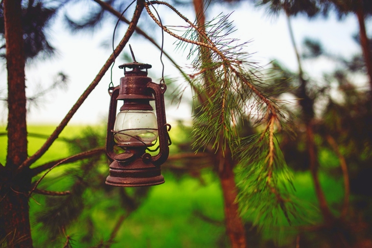 Kerosene lamp in the woods