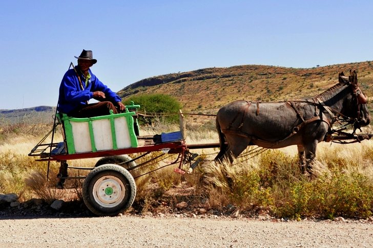 Man Riding on Carriage Pulled by Donkey Under Blue Sky during Daytime