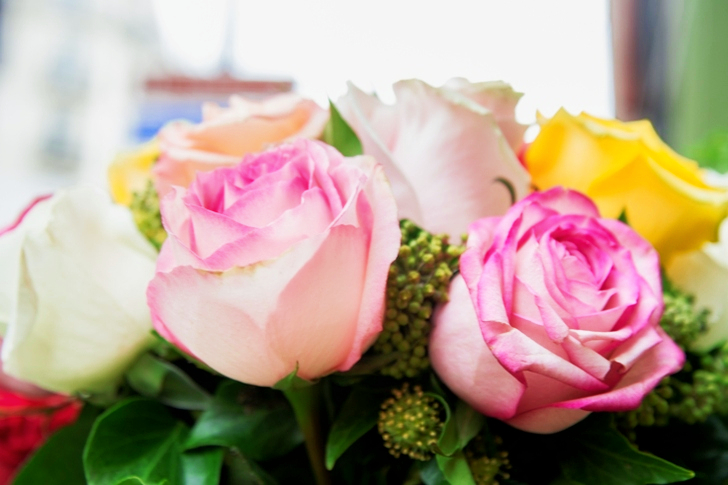 Rosa, hvite og gule blomster