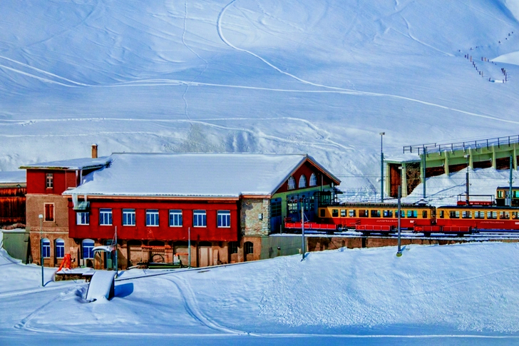 Gelber und roter Zug neben schneebedeckten Bergen