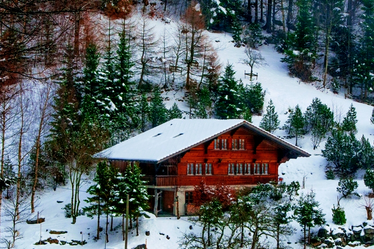 Chalet in the Forest