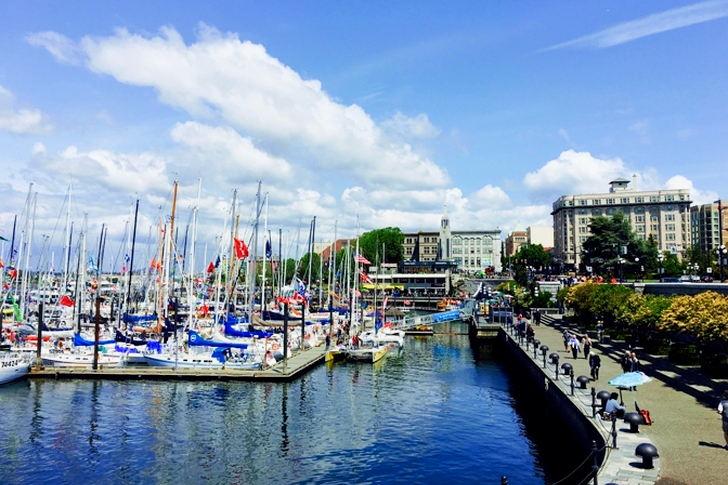 Landscape Boats on the Port