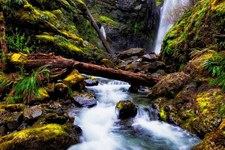 Waterval Rivier Foto Shot