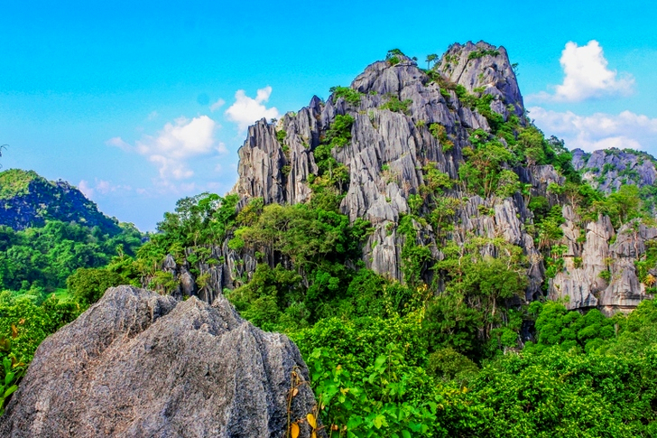 Mountain Covered With Trees