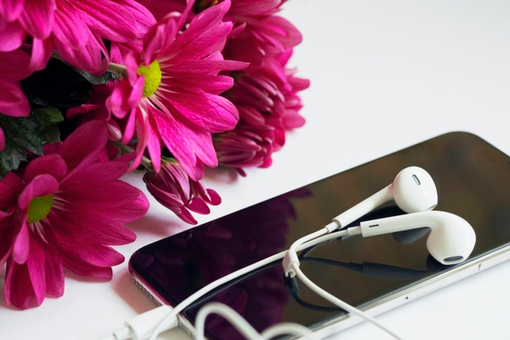 Earphones on Top of Iphone 6 Near Flowers