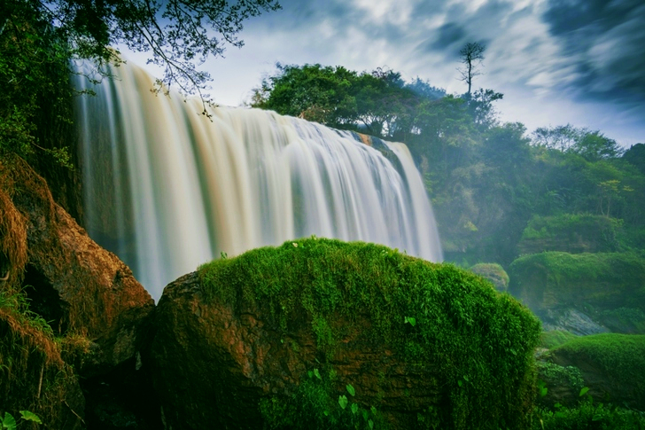 Waterfalls Surrounded by Trees