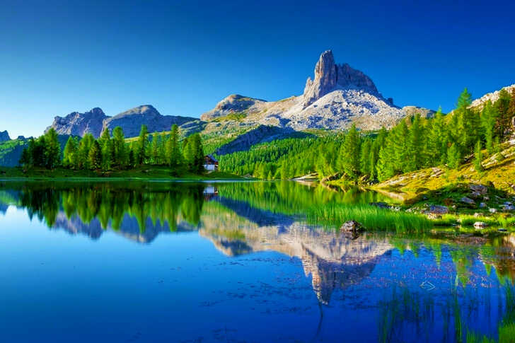 Landscape of White Mountain