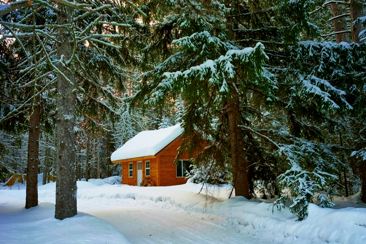 Brown House Near Pine Trees Covered With Snow
