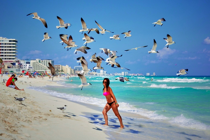 a Woman Under Flying Seagulls