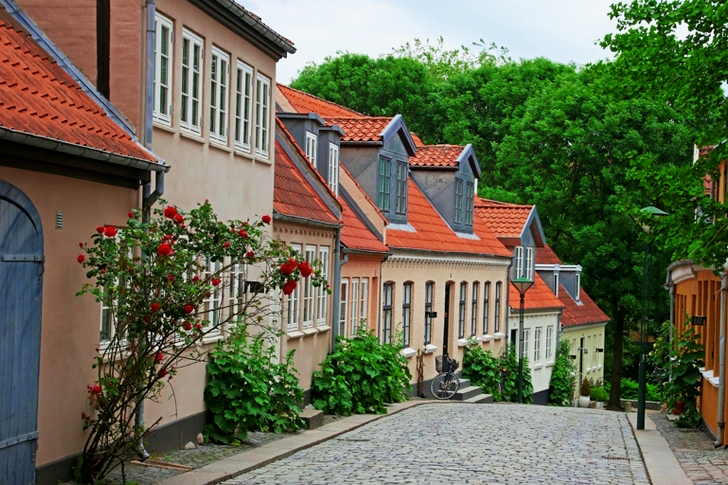 Beige and Brown Painted Houses