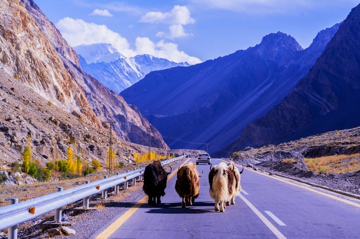 Yax på Highway Road