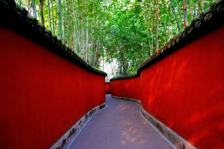 Red and Gray Pathway Near Trees