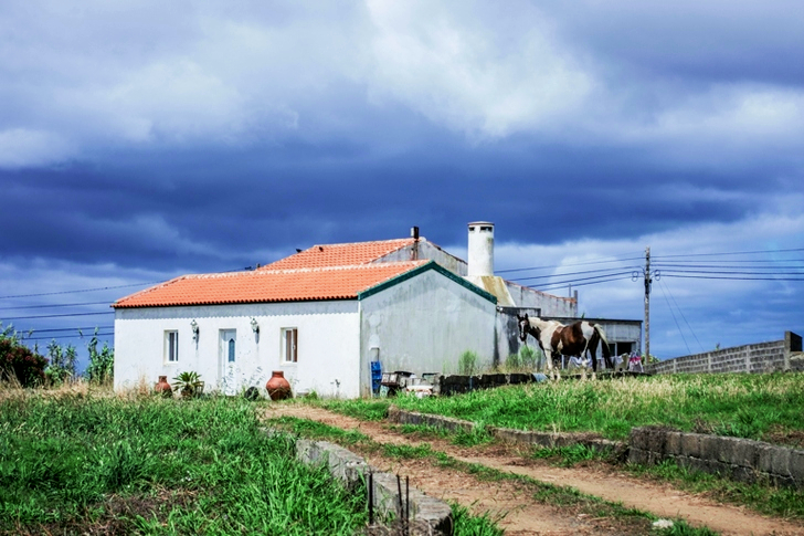 Weißes Betonhaus, umgeben von grünem Gras