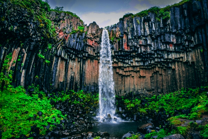 Waterfall Surrounded With Green Leaf Plant View