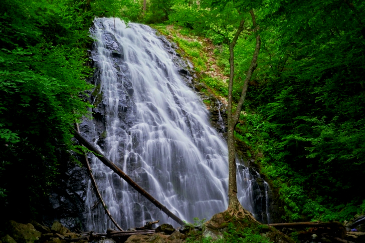 Waterfalls in Between Green Trees