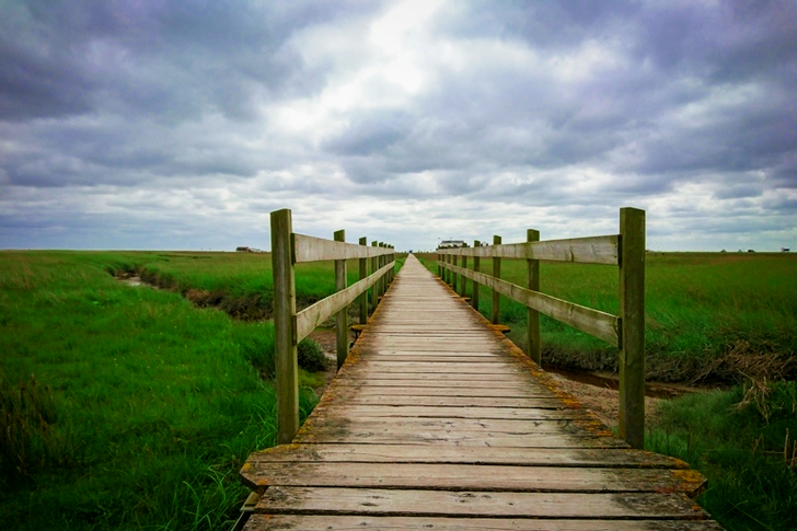 Brown Dock and Grass Field