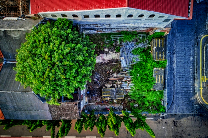 Aerial Green Tree Beside Building