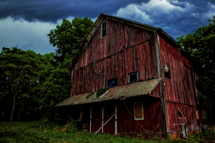 Braune Holzscheune In Der Nähe Von Bäumen