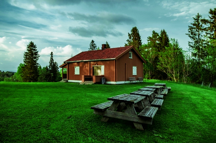 Brown Wooden House Near Trees