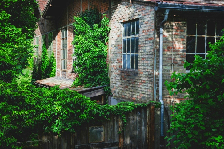 Gray Concrete House Near Green Trees