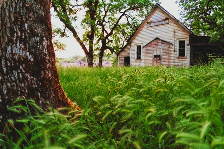 Brown Wooden House Near Trees