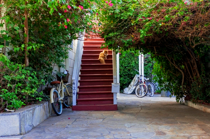 Red and White Stairs