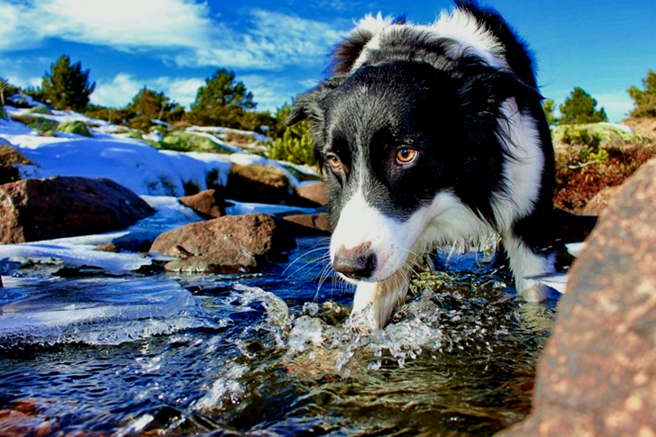 Close-Up of Water On River