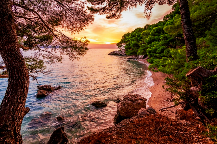 Body Of Water Near Forest