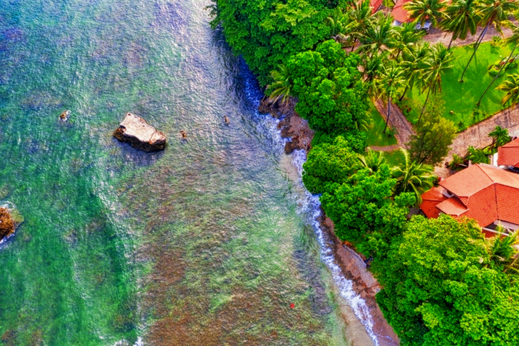 Green River Between Green Trees